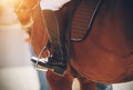 On a Bay horse in the saddle sits a rider, whose foot is dressed in a black boot and rests on a stirrup Royalty Free Stock Photo