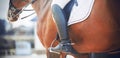 On a bay horse sits a rider in black boots with spurs. Equestrian sport. Horseback riding. Dressage Royalty Free Stock Photo