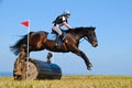 Bay horse stretching over a barrel jump at horse show