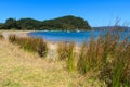 Bay of Islands, New Zealand. Beach on Motuarohia Island