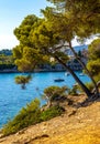 Bay and laguna summer landscape offshore Saint-Jean-Cap-Ferrat resort town on Cap Ferrat cape at French Riviera in France Royalty Free Stock Photo