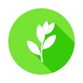 bay laurel tree icon in Flat long shadow style Royalty Free Stock Photo