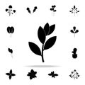 bay laurel tree icon. Plants icons universal set for web and mobile Royalty Free Stock Photo