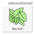 Bay leaf color icon