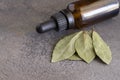 Bay leaf essential oil background Royalty Free Stock Photo