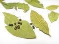 Bay leaf in a glass Royalty Free Stock Photo