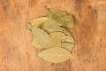 Bay leaf herb