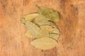 Bay leaf herb Royalty Free Stock Photo