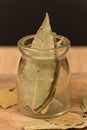 Bay leaf herb Royalty Free Stock Photo