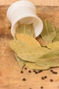 Bay leaf herb Royalty Free Stock Photo
