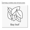 Bay leaf line icon
