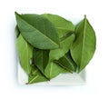 Bay leaf spice Royalty Free Stock Photo