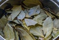 Bay leaf spice cooking background close up