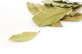 Bay leaf spice on white background Royalty Free Stock Photo