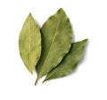 Bay leaf on white Royalty Free Stock Photo