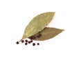 Bay leaf on a white background Royalty Free Stock Photo