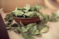 Bay leaf in a wooden Cup Royalty Free Stock Photo