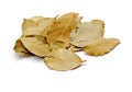 Bay leaves Royalty Free Stock Photo