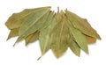 Bay Leaves Royalty Free Stock Photo