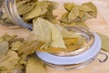 Bay leaves