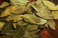Bay Leaves Royalty Free Stock Photo