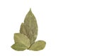 bay leaves arranged and isolated on white background Royalty Free Stock Photo