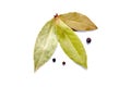 Bay leaves and black pepper isolated on white Royalty Free Stock Photo