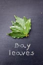 Bay leaves Royalty Free Stock Photo