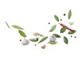 Bay leaves, garlic, black and fresh hot peppers flying on white background Royalty Free Stock Photo