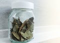 Bay leaves in a jar. Dried flakes of laurel tree.