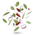 Bay leaves, onion rings, garlic cloves, dry red and black peppers falling on white background Royalty Free Stock Photo