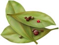 Bay leaves and pepper