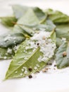 Bay Leaves With Sea Salt Royalty Free Stock Photo