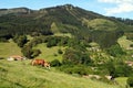 Bay mare and a foal graze on the verdant mountainside among villages in Basque Country, Spain Royalty Free Stock Photo