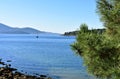 Bay with sailing boat and pine tree. Rocks and clear water, blue sea and forest. Sunny day, Galicia, Spain. Royalty Free Stock Photo