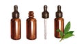 Bay set essential oil, bay leaves, amber glass bottle, dropper. Drawing watercolor illustration isolated on white