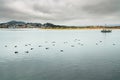 Bay of Water, Boats, and Silhouettes of Sleeping Sea Otters