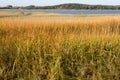 Welfleet bay, Cape Cod Royalty Free Stock Photo