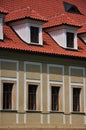 Bay windows and common windows - fasade