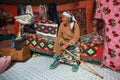 Old woman from Kazakh family of hunters with hunting golden eagles inside their the mongolian Yurts.