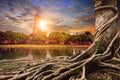 Bayan tree and sunset behind old asia pagoda Royalty Free Stock Photo