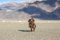 Kazakh Eagle Hunter at traditional clothing, on horseback while hunting to the hare holding a golden eagle on his arm Royalty Free Stock Photo