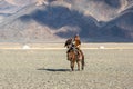 Kazakh Eagle Hunter at traditional clothing, on horseback while hunting to the hare holding a golden eagle on his arm in desert mo