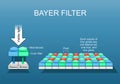 Bayer filter. Close-up of Digital image sensor. RGB color model Royalty Free Stock Photo