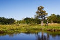 Bayou - Horizontal Landscape Royalty Free Stock Photo