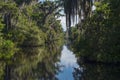 Bayou of Jean Lafitte National Park in Louisiana Royalty Free Stock Photo