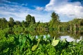 Bayou Lafourche Scenery