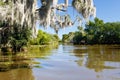 Bayou and Spanish Moss