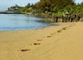 Bayside footprints at Dawn Royalty Free Stock Photo