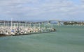 Bayswater Marina Fishing Spot Auckland New Zealand